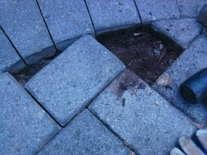 Reparing a Paver Walkway Chipmunk Burrow