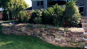 5 Easy Ways to Bring Your Landscape Back to Life - All About The House